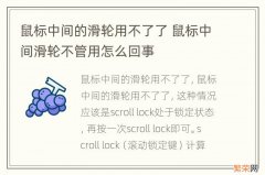 鼠标中间的滑轮用不了了 鼠标中间滑轮不管用怎么回事