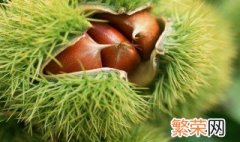 生板栗剥壳有技巧 生板栗剥壳的技巧简述