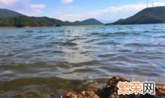 水库钓鱼有什么技巧和方法 水库钓鱼有什么技巧