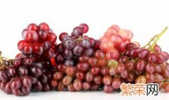 大量葡萄的冷库保存方法 葡萄冷库保鲜技术