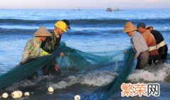 天气冷塘角鱼怎么养 天气冷塘角鱼怎样养