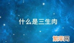 什么是三生肉 关于三生肉的解释