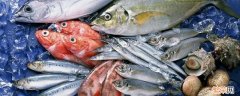 鱼肉可以放冰箱冷冻吗 鱼肉可以冷冻吗