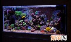 底滤鱼缸可否长期放活性炭吗 底滤鱼缸可以长期放活性炭的原因