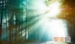 什么是林业三定 林业三定指的是什么呢