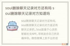soul删除聊天记录对方还有吗 soul删除聊天记录对方知道吗