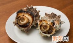 螺蛳怎么走路 蚌和螺蛳是怎样走路的