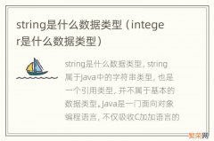 integer是什么数据类型 string是什么数据类型