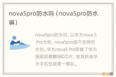 nova5pro防水嘛 nova5pro防水吗