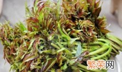 椿芽怎么保鲜 椿芽怎么可以长期保存