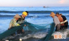 石斑鱼养殖 石斑鱼养殖技术和环境